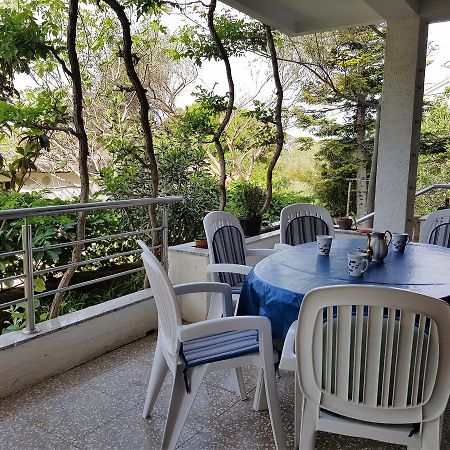 Apartments Monica Novalja Εξωτερικό φωτογραφία